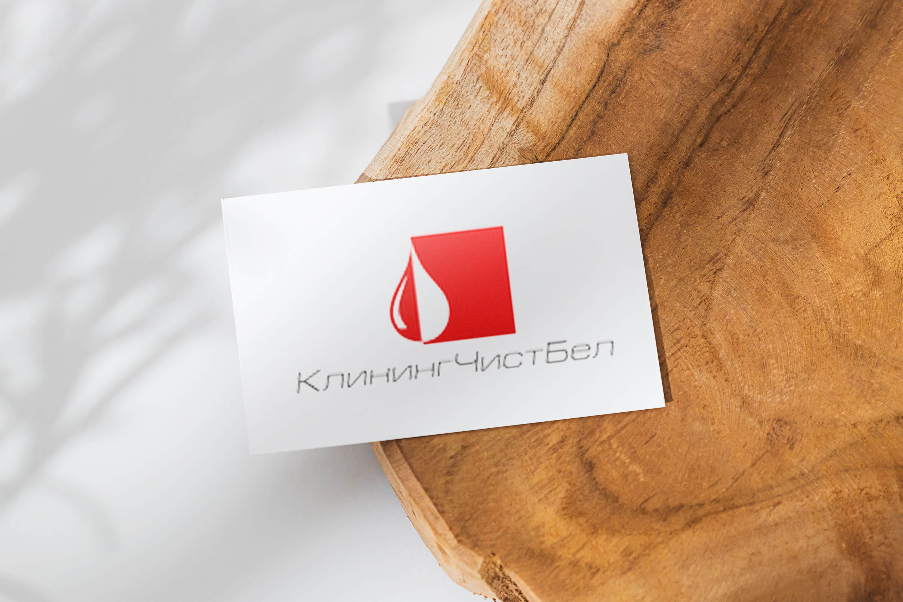 Разработка логотипа для клиниговой компании